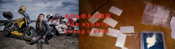 индика Армянск