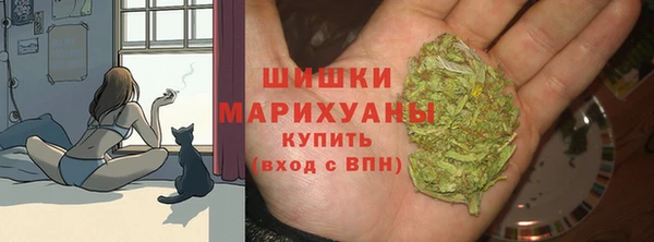 индика Армянск