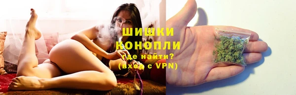 ПСИЛОЦИБИНОВЫЕ ГРИБЫ Абаза