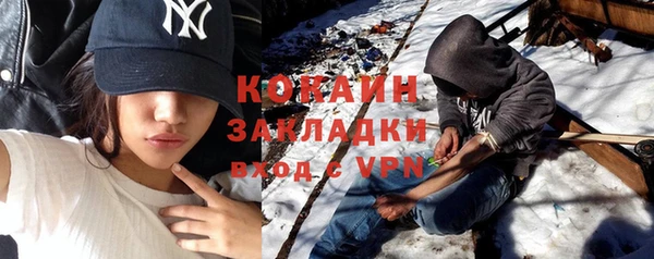 индика Армянск