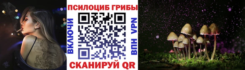 ОМГ ОМГ вход Миасс Галлюциногенные грибы GOLDEN TEACHER цена